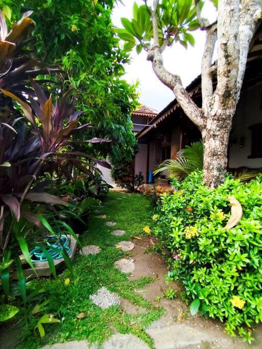 Niki Mawon Homestay Kejayan Dış mekan fotoğraf